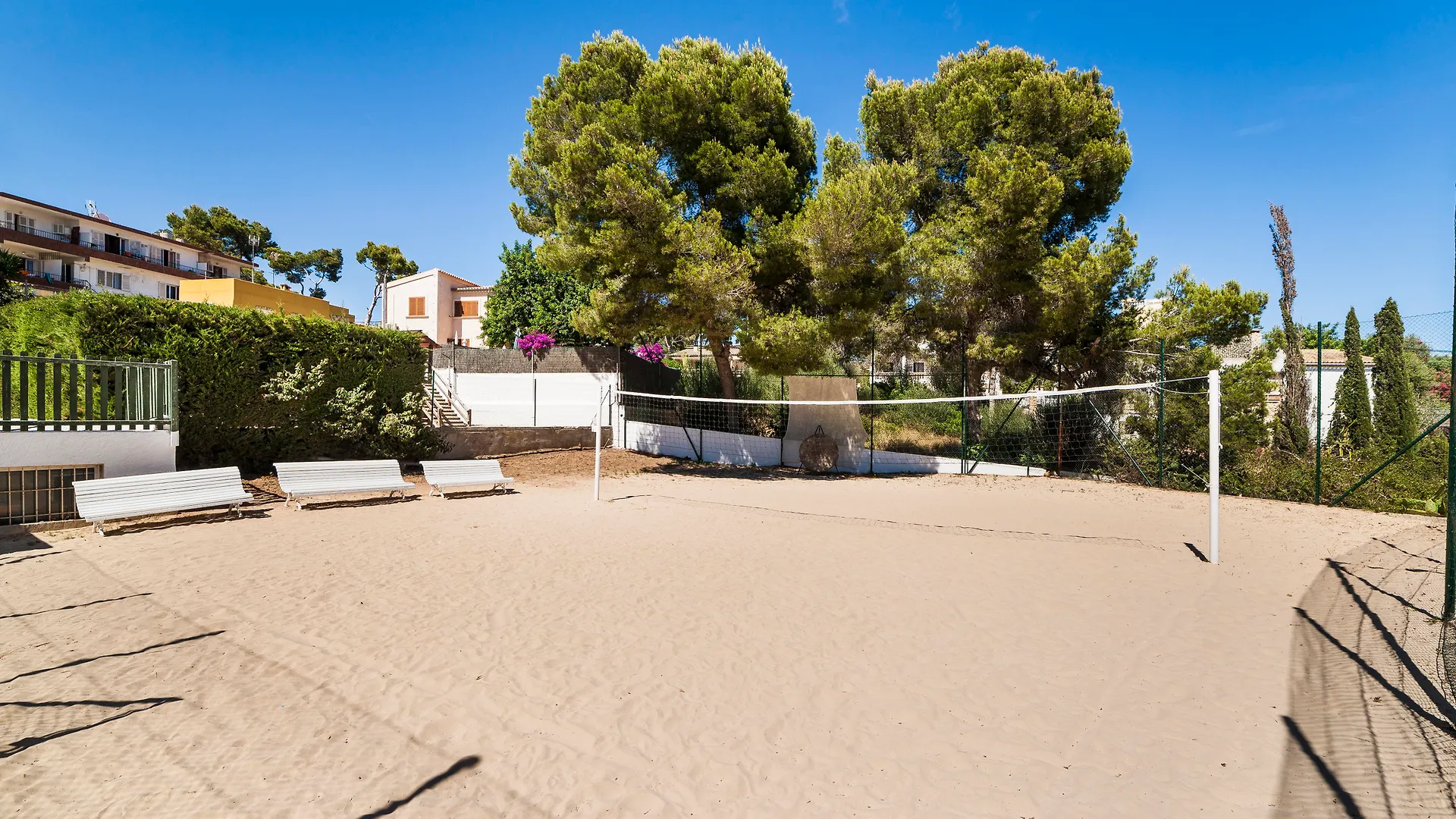 Hotel Globales Mimosa Palmanova Spanien